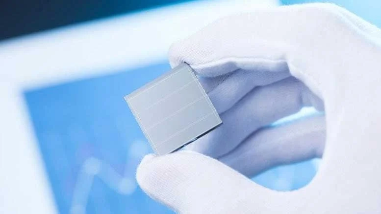 Harvesting the Storm: The Hybrid Breakthrough in Perovskite-Triboelectric Energy Systems