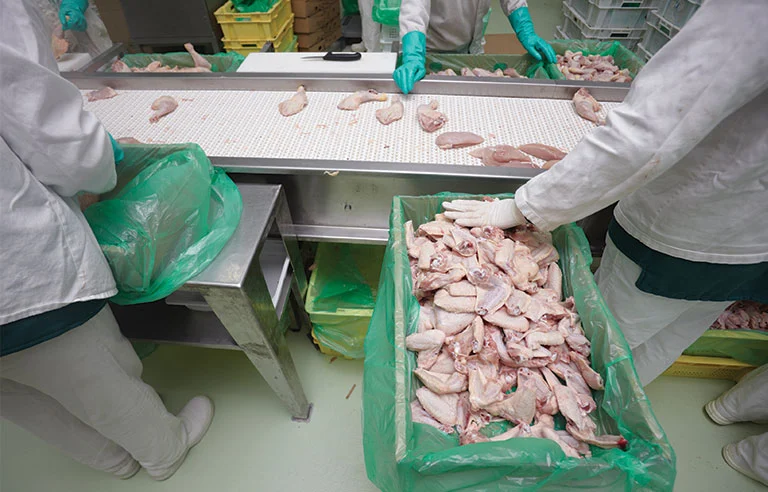 The Battle Over Processing Speeds: Lawmakers Challenge USDA’s Push for Faster Meatpacking Lines