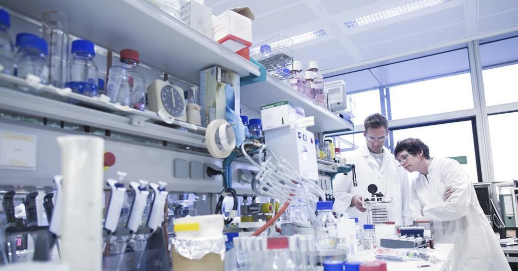 The Shadow of the Lab Bench: How Supervisors Shape the Mental Health Crisis in Academia