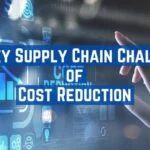 The Efficiency Imperative: Mastering Supply Chain Cost Reduction for Competitive Advantage