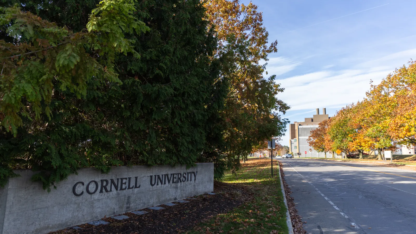 Cornell University Dodges DEI Hiring Lawsuit After Judge Rules Plaintiff Lacked Legal Standing