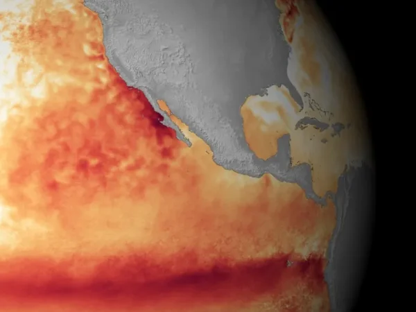 Navigating the Shift: How a Strengthening El Niño is Reshaping Power Sector Resilience and Grid Planning