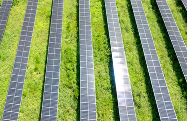 Neighborhood Sun Doubles Portfolio to 600 MW with Acquisition of Meadow Energy’s New York Community Solar Assets