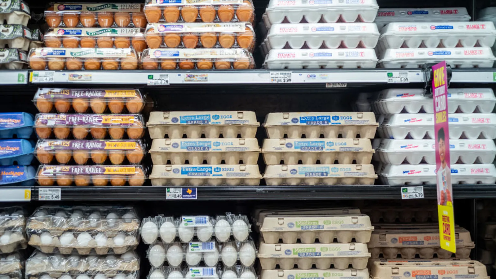 Shifting Shells: How the U.S. Egg Industry is Rebalancing After a Historic Market Glut